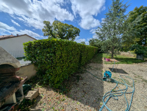Photo de galerie - Taille de haie 