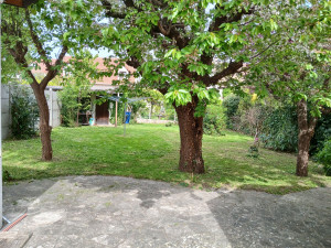 Photo de galerie - Tonte de pelouse - Débroussaillage