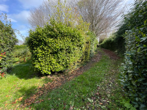 Photo de galerie - Haie avant mon passage 