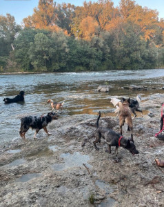 Photo de galerie - Balade au bord de la Garonne 