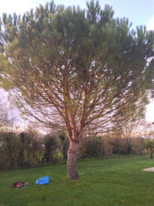 Photo de galerie - Démontage pin parasol