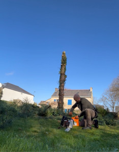 Photo de galerie - Démontage d’un pin en cours 