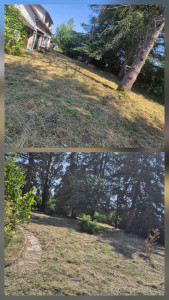 Photo de galerie - Tonte de pelouse - Débroussaillage