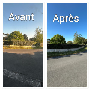 Photo de galerie - Taille d’une haie 