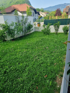 Photo de galerie - Avant tonte 