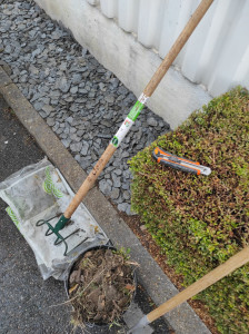 Photo de galerie - Paysagiste - Aménagement du jardin