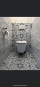 Photo de galerie - Rénovation toilette 