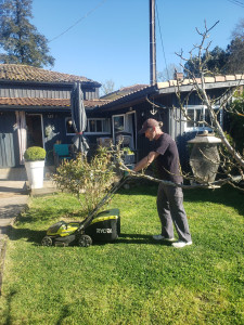 Photo de galerie - Tonte de pelouse - Débroussaillage