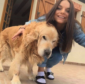 Photo de galerie - Garde chien