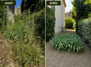 Photo de galerie - Tonte de pelouse - Débroussaillage