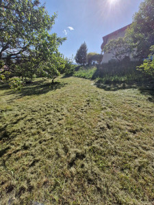 Photo de galerie - Tonte pelouse 