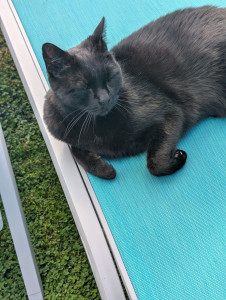 Photo de galerie - Et Toujours Clochette 