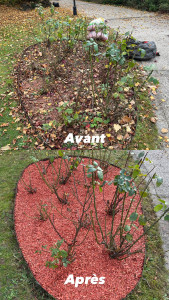 Photo de galerie - Entretien d’un massif, plus pose de copeaux