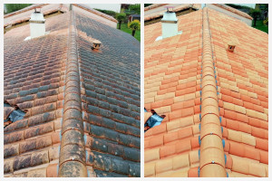 Photo de galerie - Nettoyage toiture , peinture sur toiture ,traitement des tuiles, hydrofuge , réfection toiture.