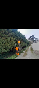 Photo de galerie - .