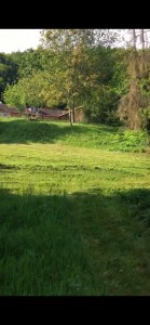 Photo de galerie - Jardinier