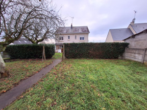 Photo de galerie - Taille de haies de tuya  plus tontes 