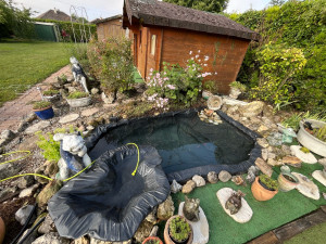 Photo de galerie - Nettoyage d’un bassin pas nettoyer depuis plusieurs années et nettoyage d’autour.??