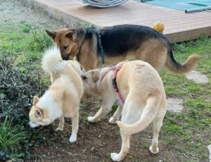 Photo de galerie - Entre copains