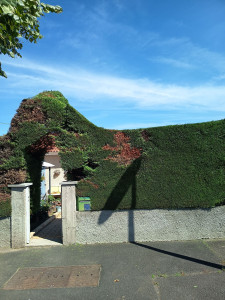 Photo de galerie - Création d'un pont 