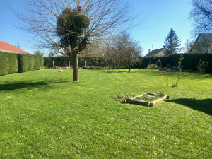 Photo de galerie - Tonte de pelouse