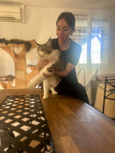 Photo de galerie - Séance d’ostéopathie féline 