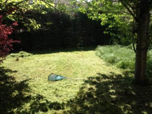 Photo de galerie - Remise en état 