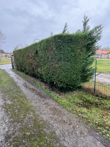 Photo de galerie - Jardinier