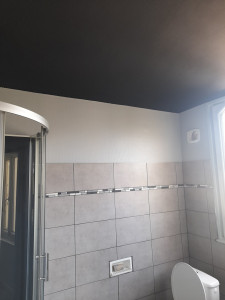 Photo de galerie - Plafond noir et mur gris clair pour une salle de bains 
