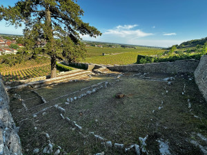 Photo de galerie - Nettoyage Terrain 