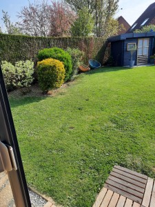 Photo de galerie - Tonte de pelouse - Débroussaillage