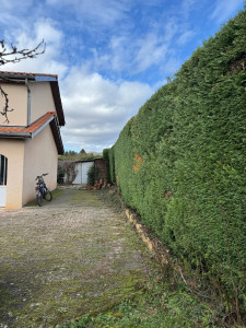 Photo de galerie - 11/02