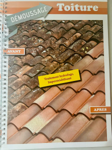 Photo de galerie - Nettoyage, toiture, façades et pignon et dallage