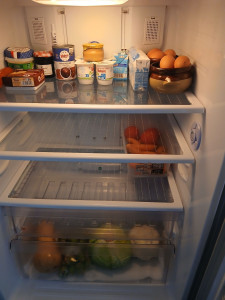 Photo de galerie - Rongement et laver le frigo 