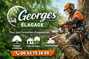 Photo de galerie - élagage abattage d'arbres taille de haie entretien d'espace vert 