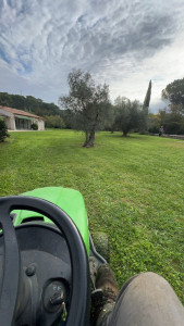 Photo de galerie - Tonte pelouse