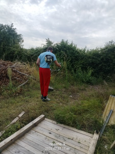 Photo de galerie - Tonte de pelouse - Débroussaillage