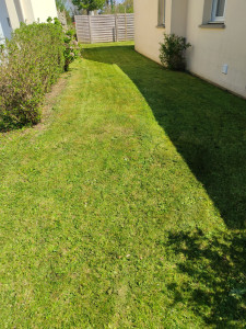 Photo de galerie - Tonte de pelouse - Débroussaillage