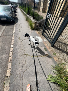 Photo de galerie - Petite balade