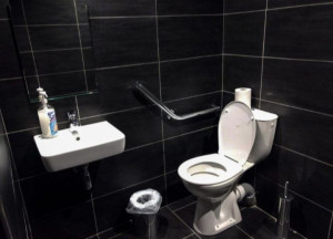 Photo de galerie - Pose de wc et lave main 