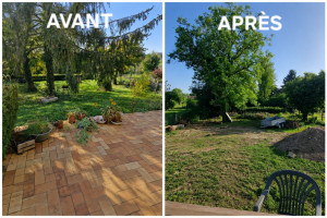 Photo de galerie - Coupe sapin/évacuation 