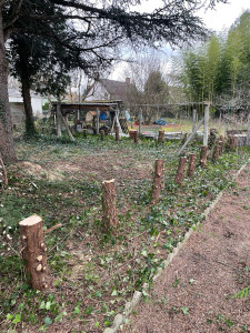 Photo de galerie - Élagage d’une haie avec évacuation. 