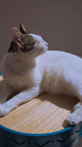 Photo de galerie - Bébé ? 2ans Clochette 