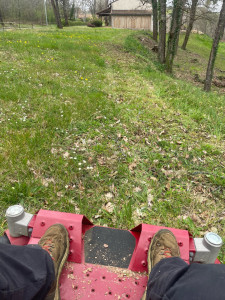 Photo de galerie - Tonte de pelouse - Débroussaillage