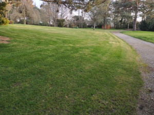 Photo de galerie - Tonte de pelouse - Débroussaillage