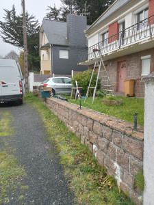 Photo de galerie - Pose d'un brise vue avec fabrication d'un portail et portillon sur mesure (avant )