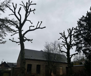 Photo de galerie - Taille