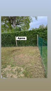 Photo de galerie - Débroussaillage 