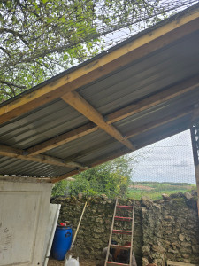 Photo de galerie - Construction d'un auvent 


