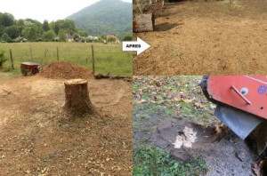 Photo de galerie - Paysagiste - Aménagement du jardin